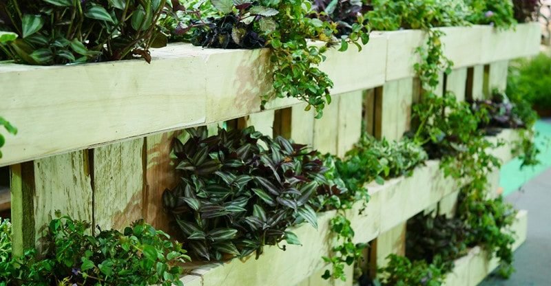 6 Finest Herbs And Greens To Develop In A Vertical Backyard